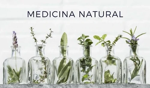 frascos y plantas naturales